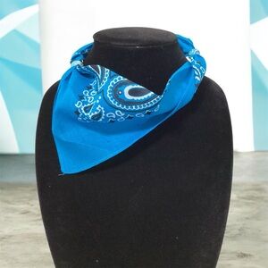 (#141) Elegant Blue Paisley Necklace/ Bracelet